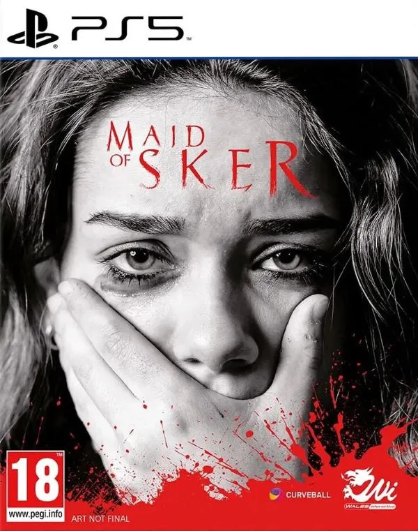 Игра Maid of Sker (PS5, русская версия)